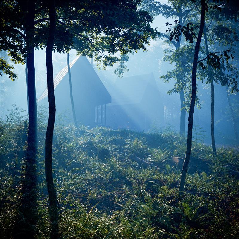 Geyikbayırı Forest House Project